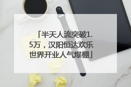 半天人流突破1.5万，汉阳恒达欢乐世界开业人气爆棚