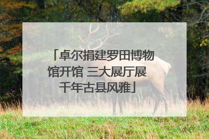 卓尔捐建罗田博物馆开馆 三大展厅展千年古县风雅