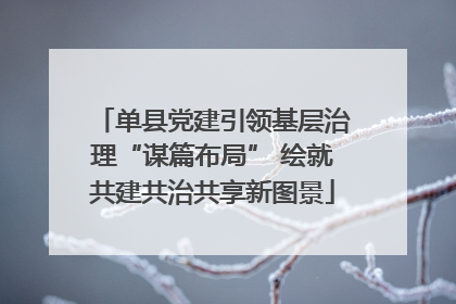 单县党建引领基层治理“谋篇布局” 绘就共建共治共享新图景