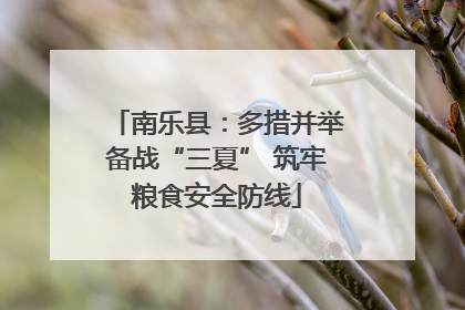 南乐县：多措并举备战“三夏” 筑牢粮食安全防线