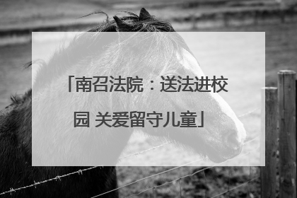 南召法院：送法进校园 关爱留守儿童