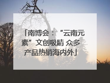 南博会：“云南元素”文创吸睛 众多产品热销海内外