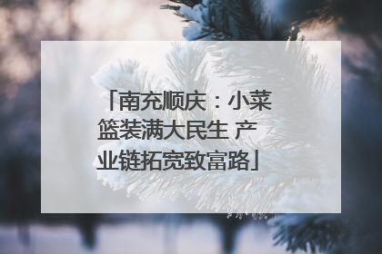 南充顺庆：小菜篮装满大民生 产业链拓宽致富路