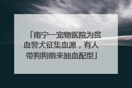 南宁一宠物医院为贫血警犬征集血源，有人带狗狗前来抽血配型