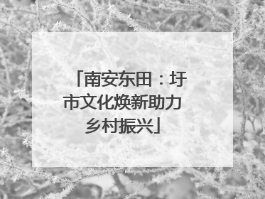 南安东田：圩市文化焕新助力乡村振兴