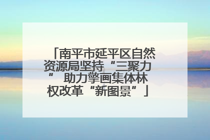 南平市延平区自然资源局坚持“三聚力” 助力擎画集体林权改革“新图景”