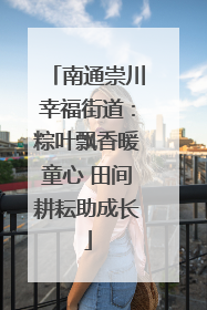 南通崇川幸福街道：粽叶飘香暖童心 田间耕耘助成长