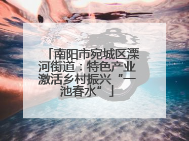 南阳市宛城区溧河街道：特色产业激活乡村振兴“一池春水”