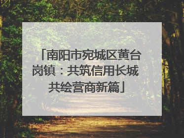 南阳市宛城区黄台岗镇：共筑信用长城 共绘营商新篇