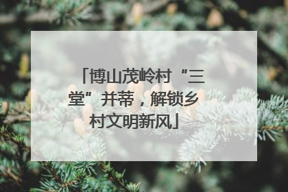 博山茂岭村“三堂”并蒂，解锁乡村文明新风