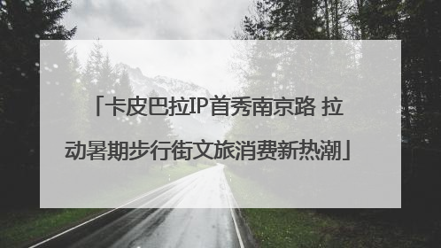 卡皮巴拉IP首秀南京路 拉动暑期步行街文旅消费新热潮