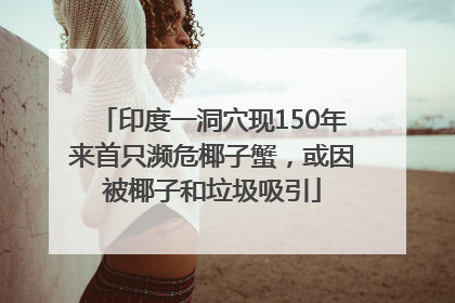 印度一洞穴现150年来首只濒危椰子蟹，或因被椰子和垃圾吸引