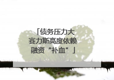 债务压力大 赛力斯高度依赖融资“补血”