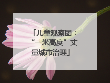 儿童观察团：“一米高度”丈量城市治理