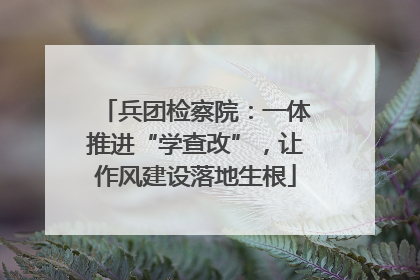 兵团检察院：一体推进“学查改”，让作风建设落地生根