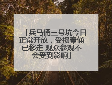 兵马俑三号坑今日正常开放，受损秦俑已移走 观众参观不会受到影响