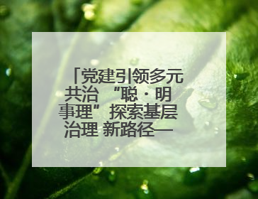 党建引领多元共治 “聪・明事理”探索基层治理 新路径——月湖区化工厂社区新实践