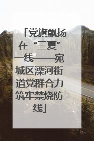 党旗飘扬在“三夏”一线——宛城区溧河街道党群合力筑牢禁烧防线