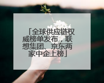 全球供应链权威榜单发布，联想集团、京东两家中企上榜