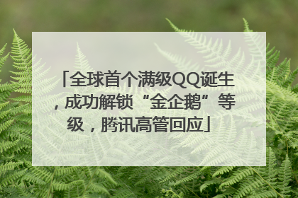 全球首个满级QQ诞生，成功解锁“金企鹅”等级，腾讯高管回应