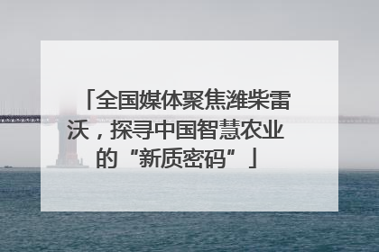 全国媒体聚焦潍柴雷沃，探寻中国智慧农业的“新质密码”