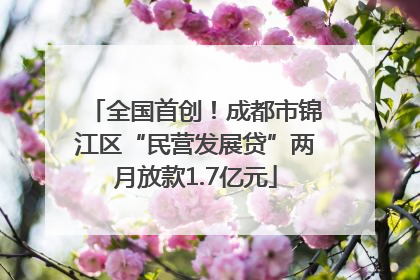 全国首创！成都市锦江区“民营发展贷”两月放款1.7亿元