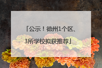 公示！德州1个区、3所学校拟获推荐