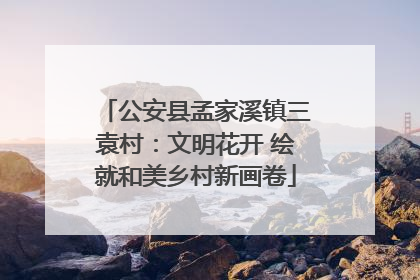 公安县孟家溪镇三袁村：文明花开 绘就和美乡村新画卷