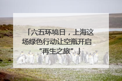 六五环境日，上海这场绿色行动让空瓶开启 “再生之旅”