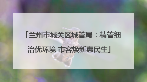 兰州市城关区城管局：精管细治优环境 市容焕新惠民生