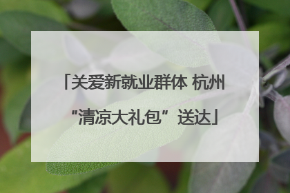关爱新就业群体 杭州“清凉大礼包”送达