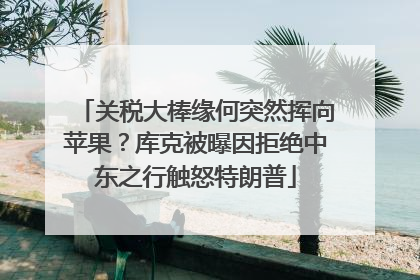 关税大棒缘何突然挥向苹果？库克被曝因拒绝中东之行触怒特朗普