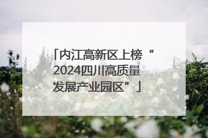 内江高新区上榜“2024四川高质量发展产业园区”