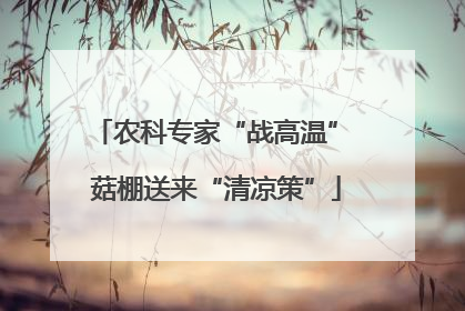 农科专家“战高温” 菇棚送来“清凉策”