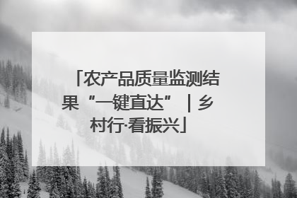 农产品质量监测结果“一键直达”｜乡村行·看振兴
