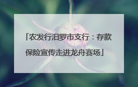 农发行汨罗市支行：存款保险宣传走进龙舟赛场