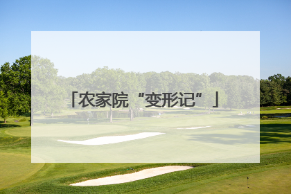 农家院“变形记”