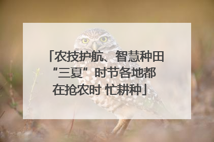 农技护航、智慧种田 “三夏”时节各地都在抢农时 忙耕种