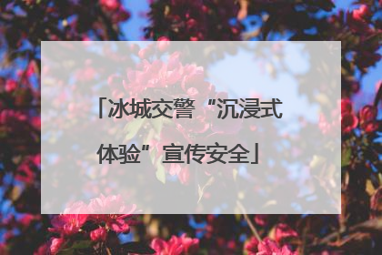 冰城交警“沉浸式体验”宣传安全