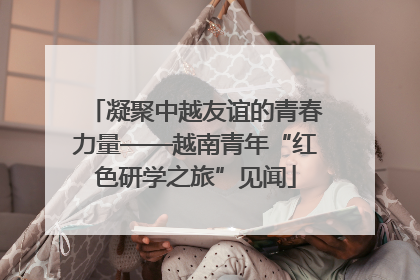 凝聚中越友谊的青春力量——越南青年“红色研学之旅”见闻