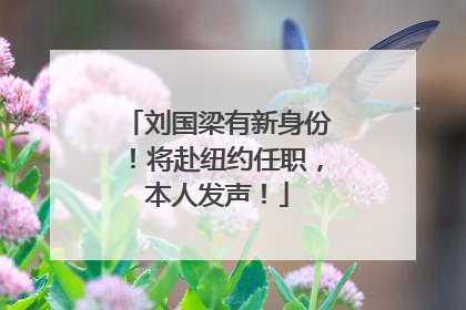 刘国梁有新身份！将赴纽约任职，本人发声！