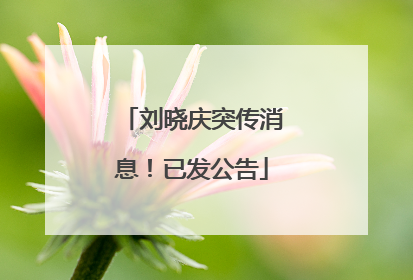 刘晓庆突传消息！已发公告
