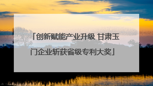 创新赋能产业升级 甘肃玉门企业斩获省级专利大奖