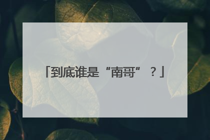 到底谁是“南哥”？