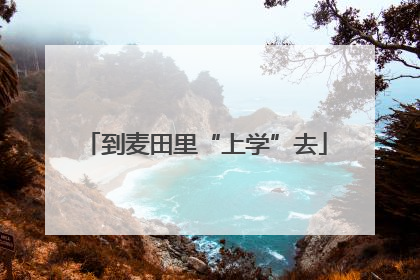 到麦田里“上学”去
