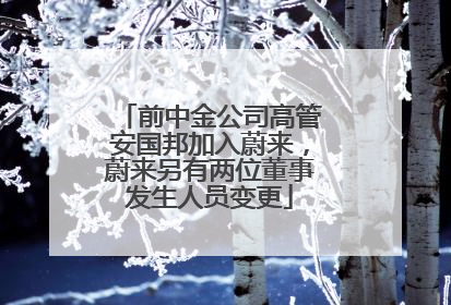 前中金公司高管安国邦加入蔚来，蔚来另有两位董事发生人员变更