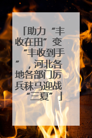 助力“丰收在田”变“丰收到手”，河北各地各部门厉兵秣马迎战“三夏”