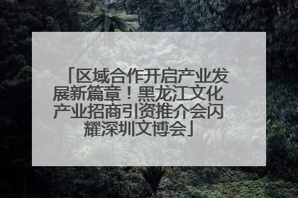 区域合作开启产业发展新篇章！黑龙江文化产业招商引资推介会闪耀深圳文博会