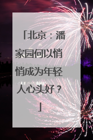北京：潘家园何以悄悄成为年轻人心头好？