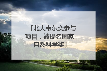 北大韦东奕参与项目，被提名国家自然科学奖